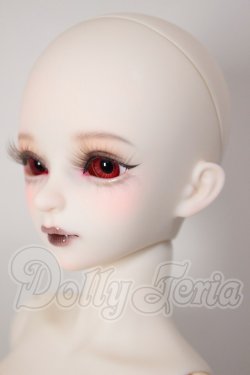 画像3: Myoudoll/Dietrich A-26-03-25-302-NY-ZA