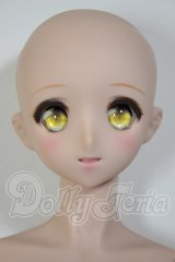 DDIII/DDH-08　D’COORD A-26-03-25-304-NY-ZA