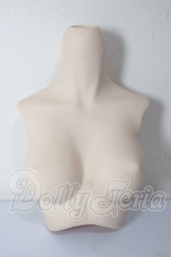 画像1: DD/上半身パーツ・M胸 A-26-03-25-317-WT-ZA