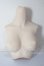 画像1: DD/上半身パーツ・M胸 A-26-03-25-317-WT-ZA (1)