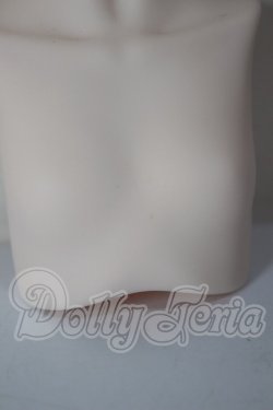 画像4: MDD/上半身パーツ A-26-03-25-318-WT-ZA