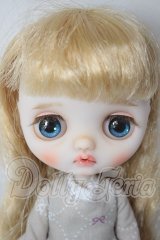 ミディブライスカスタム/本体＆衣装 A-26-04-01-113-NY-ZA