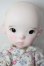 画像2: LANDAZZ DOLL/本体・衣装 A-26-04-01-114-NY-ZA (2)