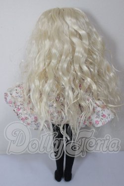 画像6: LANDAZZ DOLL/本体・衣装 A-26-04-01-114-NY-ZA