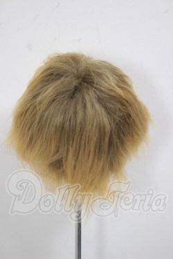 画像2: 7-8inch/ウィッグ A-26-04-01-213-NY-ZA
