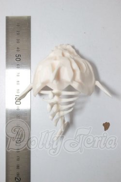 画像2: SDM＆MSD/OF:小物 A-26-04-01-236-NY-ZA