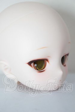 画像3: DD/DDH-29:カスタムヘッド A-26-04-01-267-NY-ZA