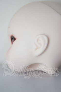 画像5: DD/DDH-01 カスタムヘッド A-26-04-01-260-NY-ZA