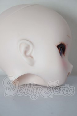 画像6: DD/DDH-01 カスタムヘッド A-26-04-01-260-NY-ZA