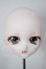 DD/DDH-10 (カスタマー様)カスタムヘッド A-26-04-08-142-NY-ZA