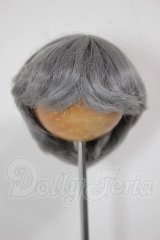 6-7inch/ウィッグ A-26-04-08-171-WT-ZA