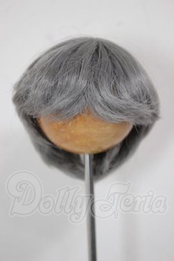 画像1: 6-7inch/ウィッグ A-26-04-08-171-WT-ZA