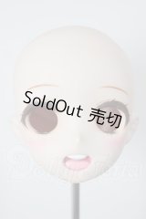 DDH-08/カスタムヘッド A-26-04-08-354-WT-ZA