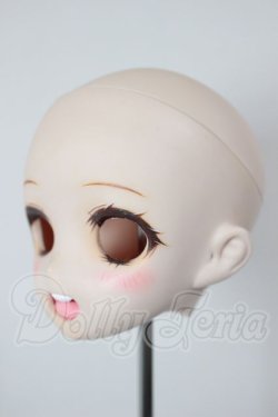 画像3: DDH-08/カスタムヘッド A-26-04-08-354-WT-ZA