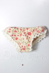 MDD/OF:下着 A-26-04-08-375-WT-ZA