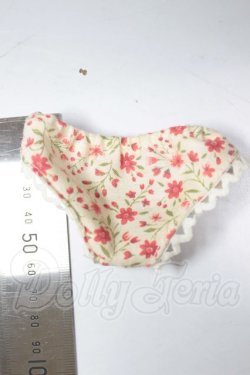 画像2: MDD/OF:下着 A-26-04-08-375-WT-ZA