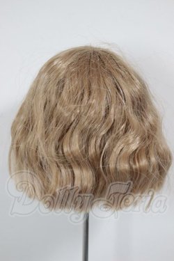 画像2: 9-10inch/ウィッグ A-26-04-08-368-WT-ZA