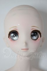 DD/DDH-06ヘッド+DD2.0ボディ A-26-04-08-352-WT-ZA