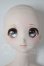 画像1: DD/DDH-06ヘッド+DD2.0ボディ A-26-04-08-352-WT-ZA (1)