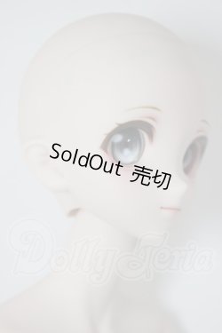 画像2: DD/DDH-06ヘッド+DD2.0ボディ A-26-04-08-352-WT-ZA