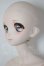 画像3: DD/DDH-06ヘッド+DD2.0ボディ A-26-04-08-352-WT-ZA (3)