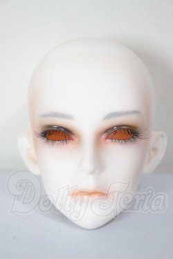 画像1: LUTS/Super Senior Delf WAVE　ヘッド A-26-04-08-400-NY-ZA