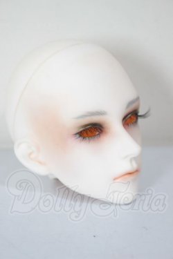 画像3: LUTS/Super Senior Delf WAVE　ヘッド A-26-04-08-400-NY-ZA