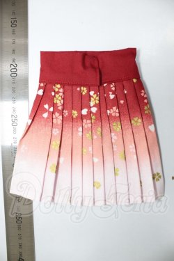 画像2: DD/OF:スカート A-26-04-15-271-NY-ZA