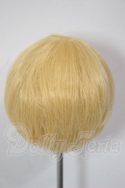 画像2: 8-9inch/ウィッグ A-26-04-22-230-NY-ZA