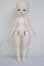 画像2: Shoushou Doll/小?豆　ヘッド A-26-04-22-218-NY-ZA (2)