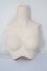 画像1: DDS-B-01/上半身パーツM胸 A-26-04-22-124-NY-ZA (1)