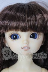 幼SD/キラ A-26-04-22-151-NY-ZA