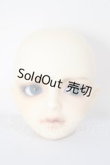 MSD/シュルツ A-26-04-22-295-NY-ZA