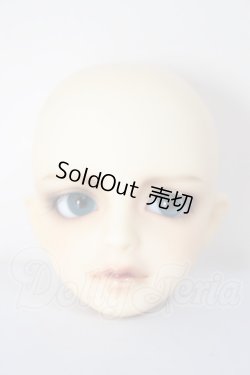 画像1: MSD/シュルツ A-26-04-22-295-NY-ZA