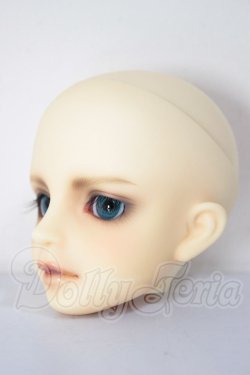 画像2: MSD/シュルツ A-26-04-22-295-NY-ZA