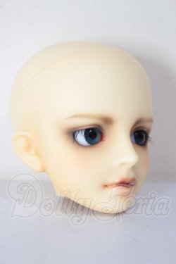 画像3: MSD/シュルツ A-26-04-22-295-NY-ZA