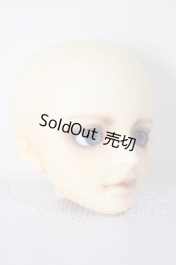 画像3: MSD/シュルツ A-26-04-22-295-NY-ZA