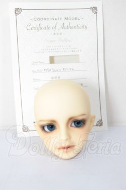 画像5: MSD/シュルツ A-26-04-22-295-NY-ZA