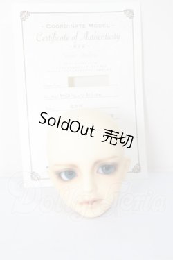 画像5: MSD/シュルツ A-26-04-22-295-NY-ZA