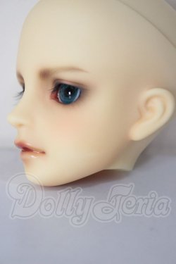 画像6: MSD/シュルツ A-26-04-22-295-NY-ZA