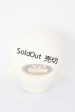 画像4: SDM女の子/F-17　コーディネートモデル A-26-04-22-293-NY-ZA