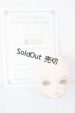 画像5: SDM女の子/F-17　コーディネートモデル A-26-04-22-293-NY-ZA