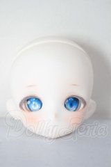 TinyFox/HS-01ヘッド　FANTASIC　WORLD様カスタム A-26-04-22-260-NY-ZA