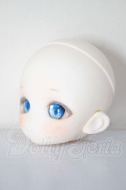 画像2: TinyFox/HS-01ヘッド　FANTASIC　WORLD様カスタム A-26-04-22-260-NY-ZA