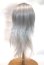 画像2: 7-8inch/ウィッグ/インチ　BJD　MJD　ドール用 A-26-05-06-024-NY-ZA (2)