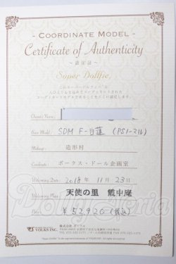 画像8: SDM女の子/コーディネートモデル白蓮 A-26-04-22-322-NY-ZA