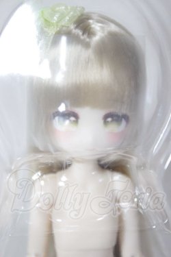 画像1: momotale / 未語集 四季の喫茶物語　ジャスミン青ぶどう A-26-04-22-317-NY-ZA