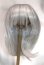 画像1: 8-9inch/ウィッグ/インチ　BJD　MJD　ドール用 A-26-05-06-027-NY-ZA (1)