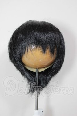 画像1: 8-9inch/ウィッグ A-26-04-29-148-NY-ZA