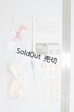 画像2: YMY/ボディ22素体 A-26-04-29-204-NY-ZA